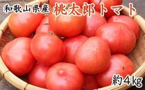 【新鮮】和歌山県産桃太郎トマト約4kg(L～2Lサイズおまかせ)★2024年6月中旬より順次発送