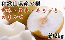 和歌山県産の梨約2kg(品種おまかせ)★2024年8月下旬頃より順次発送