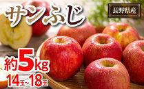 【先行予約】2024  サンふじ 約5キロ【11月中旬頃～順次発送予定 】長野県産　国際特許有機肥料栽培