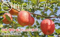 【先行予約】2024  サンふじ 約5キロ【11月中旬頃～順次発送予定 】長野県産　国際特許有機肥料栽培