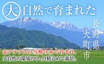 【先行予約】2024  サンふじ 約5キロ【11月中旬頃～順次発送予定 】長野県産　国際特許有機肥料栽培