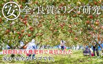 【先行予約】2024  サンふじ 約5キロ【11月中旬頃～順次発送予定 】長野県産　国際特許有機肥料栽培