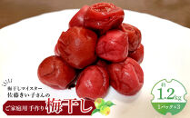 梅干し 約1.2kg ( 1パック × 3 ) 手作り 梅干 うめぼし うめ干し 塩分 すっぱい 熱中症対策 お試し お取り寄せ 国産 人気 おすすめ 宮城 家庭用