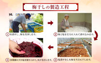 梅干し&nbsp;約1.2kg&nbsp;(&nbsp;1パック&nbsp;×&nbsp;3&nbsp;)&nbsp;手作り&nbsp;梅干&nbsp;うめぼし&nbsp;うめ干し&nbsp;塩分&nbsp;すっぱい&nbsp;熱中症対策&nbsp;お試し&nbsp;お取り寄せ&nbsp;国産&nbsp;人気&nbsp;おすすめ&nbsp;宮城&nbsp;家庭用