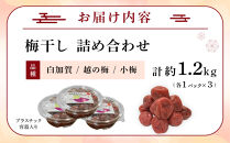 梅干し&nbsp;約1.2kg&nbsp;(&nbsp;1パック&nbsp;×&nbsp;3&nbsp;)&nbsp;手作り&nbsp;梅干&nbsp;うめぼし&nbsp;うめ干し&nbsp;塩分&nbsp;すっぱい&nbsp;熱中症対策&nbsp;お試し&nbsp;お取り寄せ&nbsp;国産&nbsp;人気&nbsp;おすすめ&nbsp;宮城&nbsp;家庭用