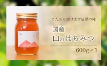 養蜂研究所が提供する「(井上養蜂) 国産 山のはちみつ」芳醇で濃厚な蜂蜜