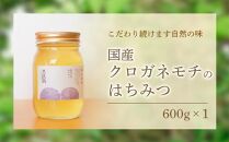 養蜂研究所が提供する「(井上養蜂) 国産 クロガネモチのはちみつ」すっきり上品な蜂蜜
