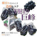 【締切間近　先行予約】&nbsp;巨峰&nbsp;&nbsp;2kg&nbsp;&nbsp;4～6房&nbsp;&nbsp;2025年8月下旬発送開始&nbsp;&nbsp;朝採れ&nbsp;新鮮&nbsp;減農薬&nbsp;和歌山県&nbsp;巨峰村&nbsp;農園直送