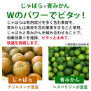 ［柑橘100%の粒］アトピタン～pure～［元気ノ国］