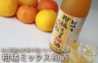 【和歌山の梅酒】柑橘梅酒4種720ml飲み比べセット
