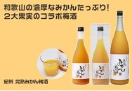 【和歌山の梅酒】柑橘梅酒4種720ml飲み比べセット