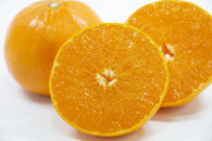 せとか さぬき産 3kg （S～Lサイズ） ｜ みかん 柑橘の王様【配達不可地域：北海道・沖縄県・離島】