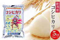 〈令和7年産 新米〉新潟産コシヒカリ 5kg 精米 白米
