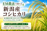 【令和8年産&nbsp;新米予約】有機栽培米&nbsp;新潟産コシヒカリ&nbsp;10kg（5kg×2袋）｜自然の恵みが育むおいしさ〈有機JAS認証〉&nbsp;10月下旬頃より順次発送