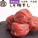 しそ梅干し1kg(500g×2P)【紀州南高梅・なんこう梅】【つぶれ梅・やぶれ梅・家庭用・わけあり・訳あり】【塩分ひかえめ・減塩うめぼし】