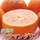 ＜4月より発送＞家庭用 カラマンダリン2.5kg+75g（傷み補償分）【南津海・なつみ】【訳あり・わけあり】【希少な春柑橘】【みかんと同じように食べられます】