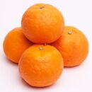 ［先行予約］厳選 カラマンダリン1kg+250g（傷み補償分）［南津海・なつみ］［希少な春柑橘］［みかんと同じように食べられます］［IKE65］