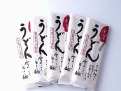彩翠うどん(乾麺)5袋