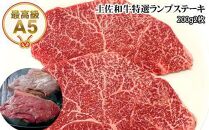 【のし付き】土佐和牛特選ランプステーキ約200ｇ×2枚セット 最高級A5 牛肉