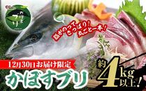 【12月30日お届け限定】「米水津産かぼすブリ（約４ｋｇ以上）！まるごと一本でお届け！