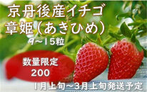 【数量限定200】京丹後産 イチゴ 章姫（あきひめ）（2023年1月上旬～3月上旬発送 予定）