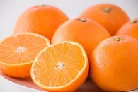 柑橘4品種お届け！　満喫セット　3回定期便