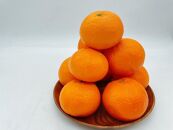 柑橘4品種お届け！　満喫セット　3回定期便