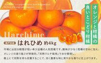 尾道発 厳選！柑橘定期便　ハウスせとか　ハウスしらぬひ（不知火）　はれひめ　柑橘　みかん　もりの農園の人気柑橘 ドルチェみかん