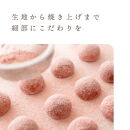 グルテンフリー&nbsp;山田錦&nbsp;ボール&nbsp;【箱入り4種アソート（和三盆/カカオ/抹茶/えちご姫（いちご）&nbsp;）】&nbsp;田田田堂&nbsp;米粉&nbsp;お菓子&nbsp;クッキー&nbsp;スイーツ&nbsp;小麦&nbsp;乳&nbsp;卵&nbsp;白砂糖&nbsp;不使用&nbsp;アレルギー&nbsp;対応&nbsp;無農薬&nbsp;米&nbsp;ビーガン&nbsp;ポルボローネ