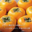 【2024年発送】種なし柿 7kg以上【白浜グルメ市場】