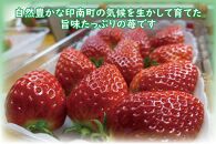朝どり新鮮完熟苺食べ比べセット！【まりひめ】【とちおとめ】