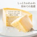 【ソラアオ】京都プレミアムチーズケーキ