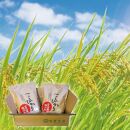 令和7年産　南魚沼塩沢地区「大沢産コシヒカリ」特A米　2ｋｇ×2袋【2025年10月上旬より順次発送予定】