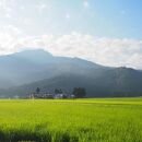 令和7年産　南魚沼塩沢地区「大沢産コシヒカリ」特A米　2ｋｇ×2袋【2025年10月上旬より順次発送予定】