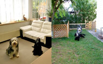 ペットと泊まれる民泊 BoniCaroB&B 1名様一泊分　宿泊券