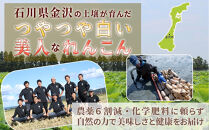 &nbsp;金澤美人れんこん&nbsp;3kg&nbsp;蓮根&nbsp;野菜&nbsp;根菜&nbsp;レンコン&nbsp;|&nbsp;石川&nbsp;金沢&nbsp;加賀百万石&nbsp;加賀&nbsp;百万石&nbsp;北陸&nbsp;北陸復興&nbsp;北陸支援