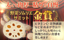 金澤美人れんこん&nbsp;5kg&nbsp;蓮根&nbsp;野菜&nbsp;根菜&nbsp;レンコン&nbsp;|&nbsp;石川&nbsp;金沢&nbsp;加賀百万石&nbsp;加賀&nbsp;百万石&nbsp;北陸&nbsp;北陸復興&nbsp;北陸支援