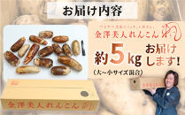 金澤美人れんこん&nbsp;5kg&nbsp;蓮根&nbsp;野菜&nbsp;根菜&nbsp;レンコン&nbsp;|&nbsp;石川&nbsp;金沢&nbsp;加賀百万石&nbsp;加賀&nbsp;百万石&nbsp;北陸&nbsp;北陸復興&nbsp;北陸支援