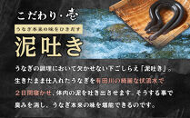 年内発送 国内産うなぎ蒲焼4尾（タレ・山椒付き）合計500g以上【申込は2024年12月25日まで】