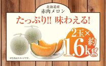 【先行予約】 北海道産赤肉メロン約1.6kg×2玉 (2025年7月中旬から発送予定) 【 果物 くだもの フルーツ メロン 赤肉 赤肉メロン 旬 お取り寄せ 甘い 北海道産 旭川市 北海道 送料無料 】_02061