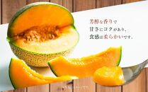 【先行予約】 北海道産赤肉メロン約1.6kg×2玉 (2025年7月中旬から発送予定) 【 果物 くだもの フルーツ メロン 赤肉 赤肉メロン 旬 お取り寄せ 甘い 北海道産 旭川市 北海道 送料無料 】_02061