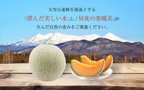 【先行予約】 北海道産赤肉メロン約1.6kg×2玉 (2025年7月中旬から発送予定) 【 果物 くだもの フルーツ メロン 赤肉 赤肉メロン 旬 お取り寄せ 甘い 北海道産 旭川市 北海道 送料無料 】_02061