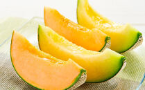 【26年発送先行予約】北海道産赤肉・青肉メロン2玉セット(各約1.6kg×1玉)&nbsp;(2026年7月中旬から発送開始予定)&nbsp;【メロン&nbsp;赤肉&nbsp;赤肉メロン&nbsp;青肉&nbsp;レッドメロン&nbsp;グリーンメロン&nbsp;果物&nbsp;フルーツ&nbsp;糖度&nbsp;甘い&nbsp;旬&nbsp;2玉&nbsp;デザート&nbsp;旭川市ふるさと納税&nbsp;北海道ふるさと納税&nbsp;旭川市&nbsp;北海道】_02062