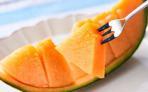 【26年発送先行予約】北海道産赤肉・青肉メロン2玉セット(各約1.6kg×1玉)&nbsp;(2026年7月中旬から発送開始予定)&nbsp;【メロン&nbsp;赤肉&nbsp;赤肉メロン&nbsp;青肉&nbsp;レッドメロン&nbsp;グリーンメロン&nbsp;果物&nbsp;フルーツ&nbsp;糖度&nbsp;甘い&nbsp;旬&nbsp;2玉&nbsp;デザート&nbsp;旭川市ふるさと納税&nbsp;北海道ふるさと納税&nbsp;旭川市&nbsp;北海道】_02062