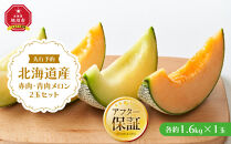 【26年発送先行予約】北海道産赤肉・青肉メロン2玉セット(各約1.6kg×1玉)&nbsp;(2026年7月中旬から発送開始予定)&nbsp;【メロン&nbsp;赤肉&nbsp;赤肉メロン&nbsp;青肉&nbsp;レッドメロン&nbsp;グリーンメロン&nbsp;果物&nbsp;フルーツ&nbsp;糖度&nbsp;甘い&nbsp;旬&nbsp;2玉&nbsp;デザート&nbsp;旭川市ふるさと納税&nbsp;北海道ふるさと納税&nbsp;旭川市&nbsp;北海道】_02062
