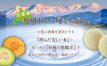 【26年発送先行予約】北海道産赤肉・青肉メロン2玉セット(各約1.6kg×1玉)&nbsp;(2026年7月中旬から発送開始予定)&nbsp;【メロン&nbsp;赤肉&nbsp;赤肉メロン&nbsp;青肉&nbsp;レッドメロン&nbsp;グリーンメロン&nbsp;果物&nbsp;フルーツ&nbsp;糖度&nbsp;甘い&nbsp;旬&nbsp;2玉&nbsp;デザート&nbsp;旭川市ふるさと納税&nbsp;北海道ふるさと納税&nbsp;旭川市&nbsp;北海道】_02062