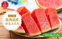 【26年発送先行予約】北海道産小玉スイカ約1.6kg×2玉&nbsp;(2026年7月中旬から発送開始予定)_02063