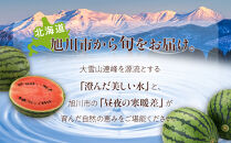 【26年発送先行予約】北海道産小玉スイカ約1.6kg×2玉&nbsp;(2026年7月中旬から発送開始予定)_02063