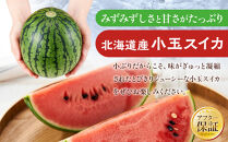 【26年発送先行予約】北海道産小玉スイカ約1.6kg×2玉&nbsp;(2026年7月中旬から発送開始予定)_02063