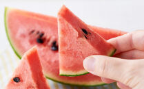 【26年発送先行予約】北海道産赤肉メロン・小玉スイカ 2玉セット(各1.6kg×1玉) (2026年7月中旬から発送開始予定) 【 メロン すいか 西瓜 赤肉 果物 フルーツ 糖度 2玉 デザート 旬 お取り寄せ 旭川市 北海道 送料無料 】_02064